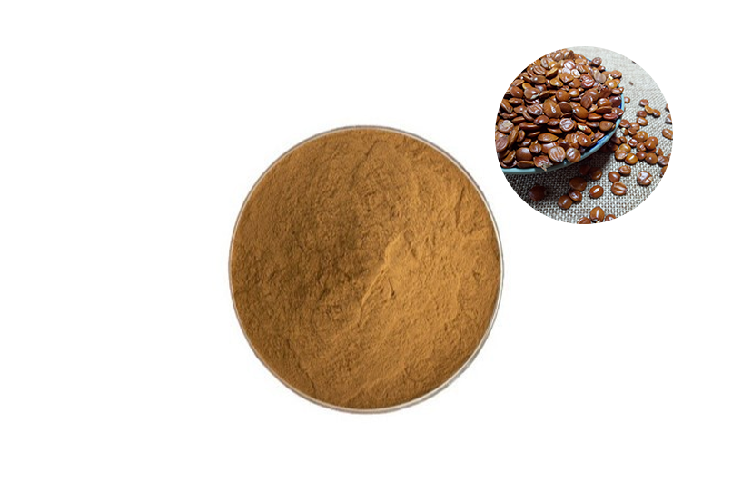Ziziphus Jujuba Seed Extract